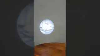 Projector Flashlight Musical Toy