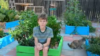 #KidsAskNicolas Episode 14 - A great book for picky eaters