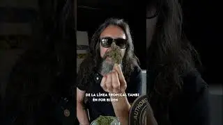 Germinamos la l&iacute;nea Sherbert de Black Tuna 🌱 | Gen&eacute;ticas para tu jard&iacute;n