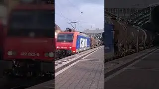 SBB 482 (SBB Cargo) + G&uuml;terzug, Darmstadt Hbf