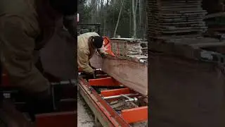 Don't Do This, Woodmizer Portable Sawmill #oldman #sawmilllife #sawmill #woodmizersawmill  #sawblade