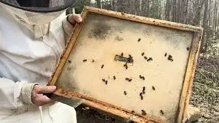 Cold Weather&rsquo;s Coming!  #beekeeperslife