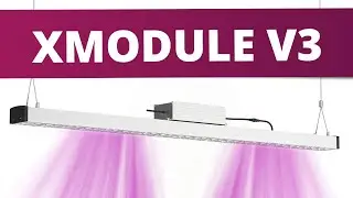 D&eacute;couverte du XModule V3 de la marque GreenVisuaLED