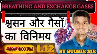 हैम्बर्ग फिनोमेनन (क्लोराइड शिफ्ट) | श्वसन एवं गैसों का विनिमय | Biology 💯😱 by Sudhir sir 