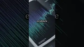 The Quantum Audit: When Does a Possibility Become a Fact? #3