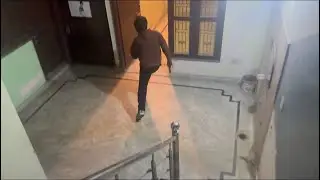 Dogs 🐕 ne kya ek cat 🐱 par attack 😠