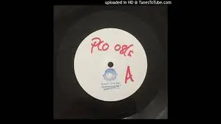 Coral Reef - Swan Dive (N.U.K.E Remix) 1997