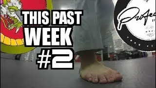 Profectus Jiu Jitsu Lebanon (Graves BJJ LLC) This PAST WEEK #2