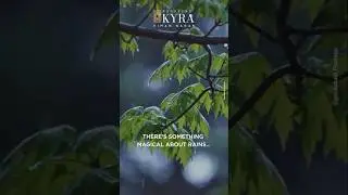 Monsoon Moments at Pristine Kyra | Luxury Living in Viman Nagar