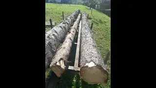 TRUPCI SMREKE 9 KOMADA prodaja JABLANOVEC - ZAPRE&Scaron;IĆ