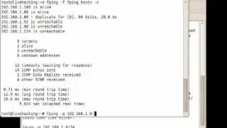 Fping - Part 2
