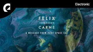 Felix Johansson Carne - Swims And Swallows