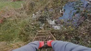 Starting The Garden Renovation - WHAT A MESS!