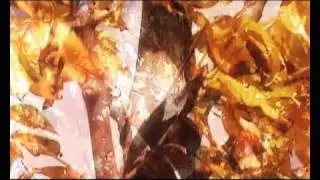 Microfeel-hanna&acute;s solsken