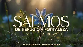SALMOS CANTADOS del Rey DAVID 👑 | REFUGIO y FORTALEZA en DIOS 🕊️ | Música Cristiana
