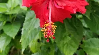 Oneplus 5 camera sample photos