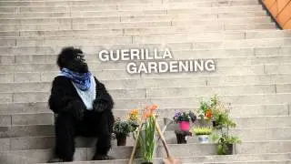 wandelbar gorilla gardening