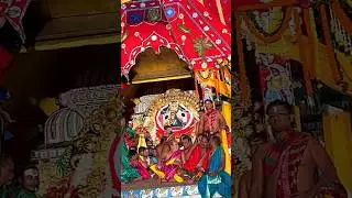 Suna Besha⭕️❗️⭕️ #rathayatra2025 #puri #sunabesha #disharmony #shorts