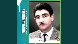 Seni haylaram
