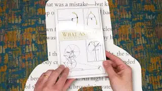 Sabrina Orah Mark reads 