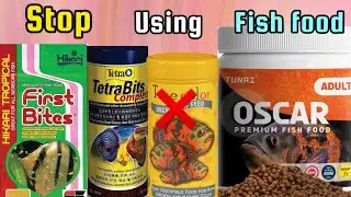 Optimum adult fish food convert for fries | fries fish food making | baby fish food make for fries |