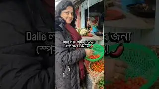 Dalle লঙ্কা প্রেমীদের জন্য স্পেশাল ভিডিও! 🌶️ #dallekhursani #dallechilli #chillilovers #redchilli