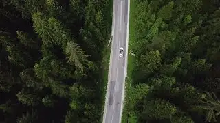 Zooming Through A Forest Road  Stock Video