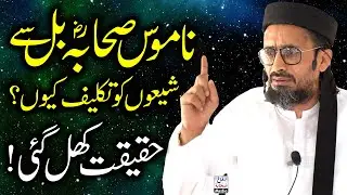 Namoos E Sahaba Bill | Allama Farooqi Speech | ناموس صحابہؓ بل سے تکلیف کیوں؟