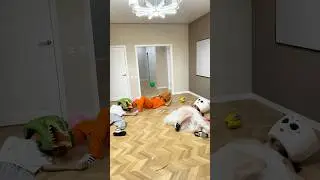 WHAT'S WRONG WITH THEM?