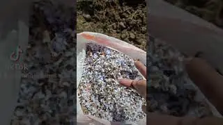 Turning and heating up the newest compost pile.