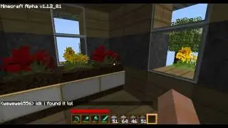 H264 codec test (minecraft)
