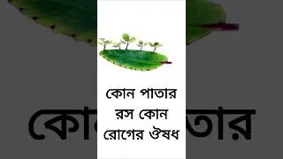 কোন পাতার রস কোন রোগের ঔষধ #shotrs #পাতা #ঔষধ
