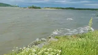 Dunărea la Bazias, 12.05.2023