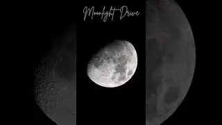 Moonlight Drive - #music #shorts #video #lofi #relaxing #jazz