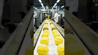 Inside Factory Pineapple Cutting, Canning & Packaging#pineapple #factoryprocess #viralshort