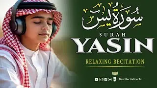 Calming Heart Touching Recitation Of Surah Yasin(سورة يٰس) For Sleep | Ep. 40 | surate yasin full