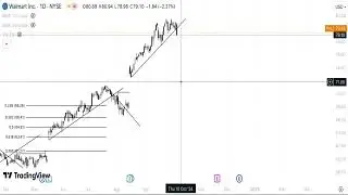 WMT Stock Technical Analysis (08/10/24)