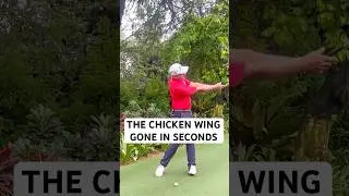 CHICKEN WING FIX