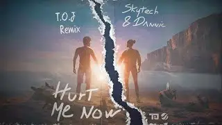 Skytech & Dannic - Hurt Me Now (T.O.J Remix)