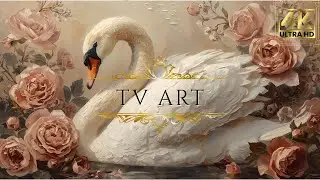 Romantic Swan & Roses TV Art 4K | Dreamy Valentines Screen Saver