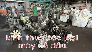 may no dau | Đong co may dau 0938312207