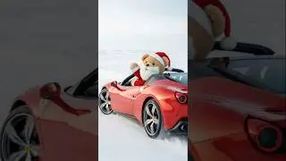 Teddy bear wishes everyone a merry Christmas