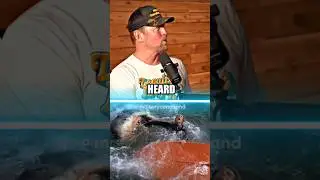 Shark Attacks on Seals 🦈🩸 Robert Oneil #shark #military #podcast