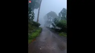 Beautiful Dense Foggy Road Trip | Beautiful Road of Pakistan | Incredible World