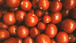 Best way to keep tomatoes fresh 🍅✨ #tomatoes #kitchenhacks #howtostorevegetables