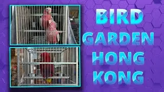 BIRD GARDEN