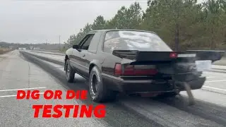 МЫ ВЕРНУЛИСЬ!!! И МЫ ПРОВОДИМ ТЕСТИРОВАНИЕ ДЛЯ DIG OR DIE!!!