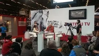 Aoudi le cheval de Berberie