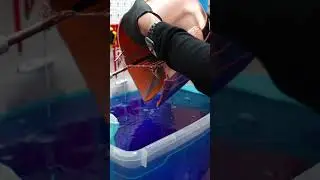 Metalize huge plastic 3D Prints! 🧪
