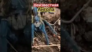 Неизвестная Ангола!! СМОТРИТЕ ПОЛНОЕ ВИДЕО!